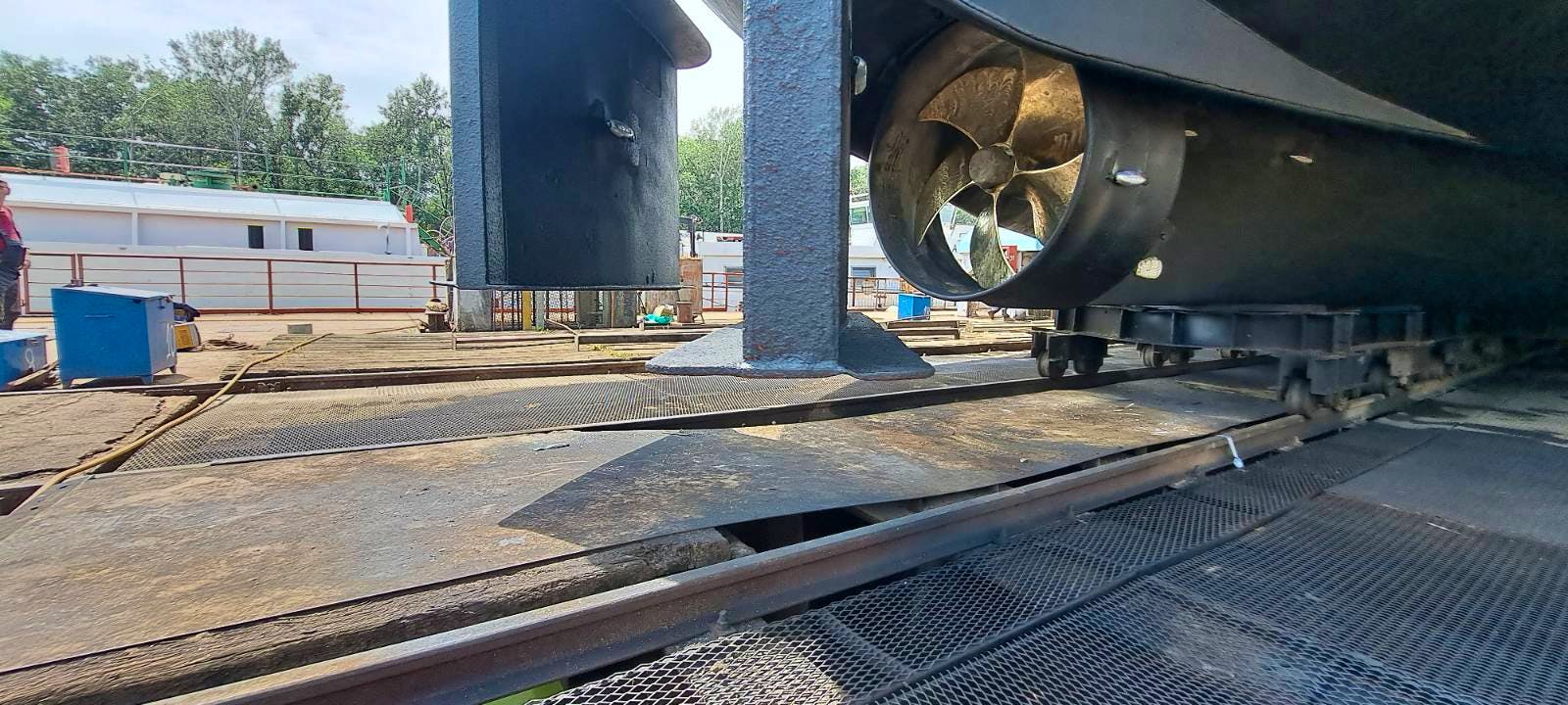 Vera — thumbnail 4